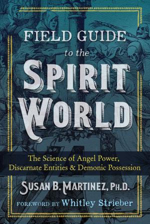 bigCover of the book Field Guide to the Spirit World by 