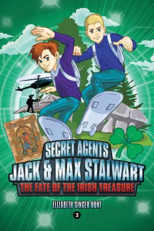 Cover of the book Secret Agents Jack and Max Stalwart by Sherwood Schwartz, Lloyd J. Schwartz