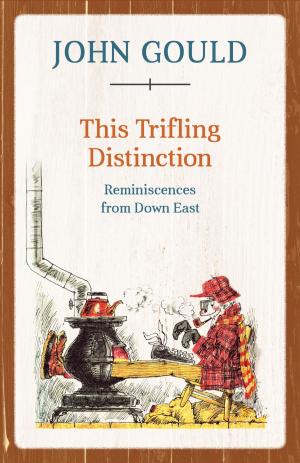 Cover of the book This Trifling Distinction by Janice Spaulding