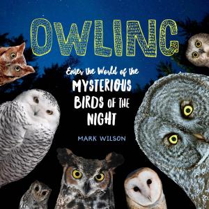 Book cover of Owling