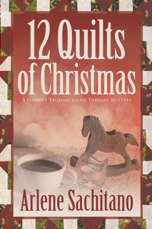 Cover of the book The 12 Quilts of Christmas by Mike DiCerto