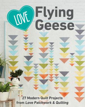 Cover of the book Love Flying Geese by Amanda Murphy
