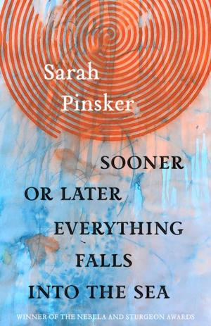 Cover of the book Sooner or Later Everything Falls Into the Sea by Julia Holmes
