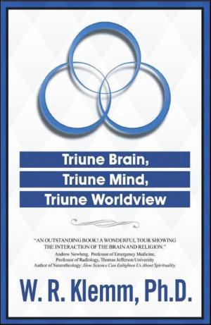Cover of the book Triune Brain, Triune Mind, Triune Worldview by Chris Broyhill
