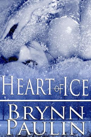 Cover of the book Heart of Ice by Megan Slayer