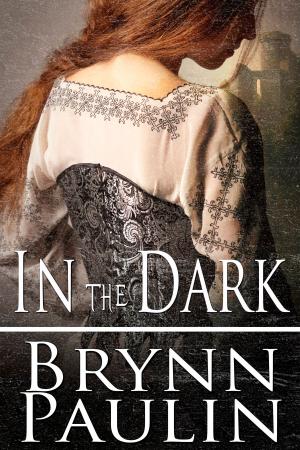 Cover of the book In the Dark by Megan Slayer