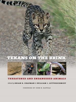 Cover of the book Texans on the Brink by Norman C. Delaney