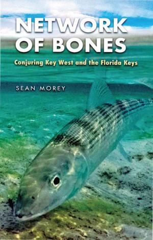 Cover of the book Network of Bones by Houston Faust Mount  II II