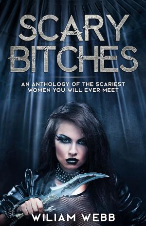 Book cover of Scary Bitches