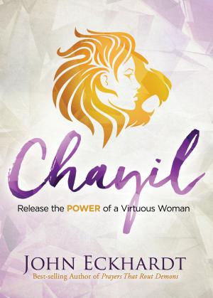 bigCover of the book Chayil by 