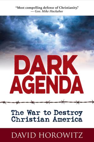 Cover of the book DARK AGENDA by Monte Lai, Ph.D.