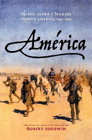 Cover of the book América by Jamin Pelkey