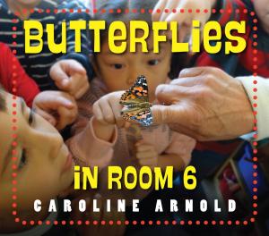 Cover of Butterflies in Room 6