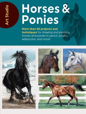 Book cover of Art Studio: Horses & Ponies