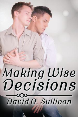 Cover of the book Making Wise Decisions by J.M. Snyder