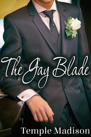 Cover of the book The Gay Blade by Gareth Vaughn