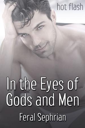 Cover of the book In the Eyes of Gods and Men by Wayne Mansfield