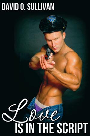 Cover of the book Love Is in the Script by G.D. Penman