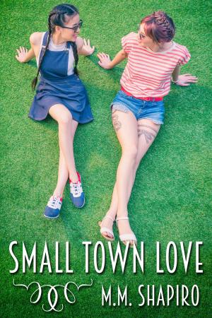 Cover of the book Small Town Love by J.M. Snyder