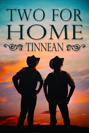 Cover of the book Two for Home by Wayne Mansfield