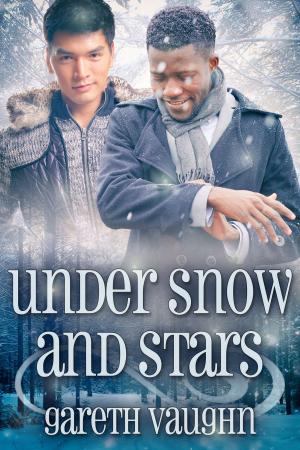 Cover of the book Under Snow and Stars by Temple Madison