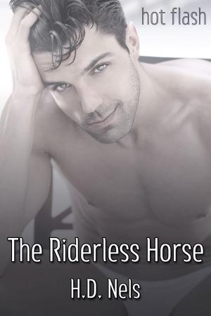 Book cover of The Riderless Horse
