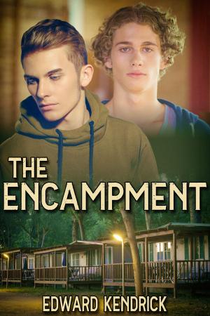 Cover of the book The Encampment by J.M. Snyder
