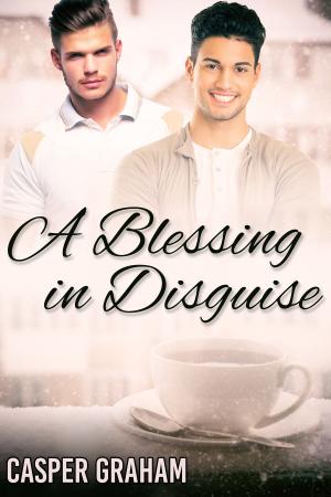 Cover of the book A Blessing in Disguise by JL Merrow