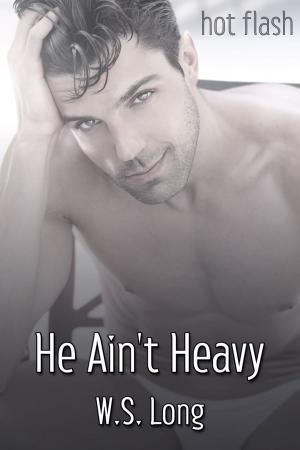 Cover of the book He Ain't Heavy by T.A. Creech