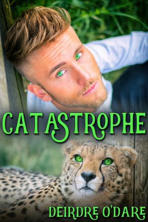 Cover of the book Catastrophe by J.M. Snyder
