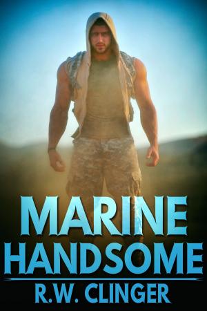 Cover of the book Marine Handsome by J.D. Walker