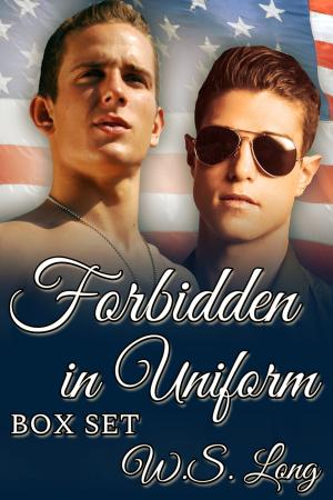 Cover of the book Forbidden in Uniform Box Set by A.R. Moler