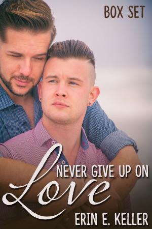 Cover of the book Never Give Up on Love Box Set by J.M. Snyder