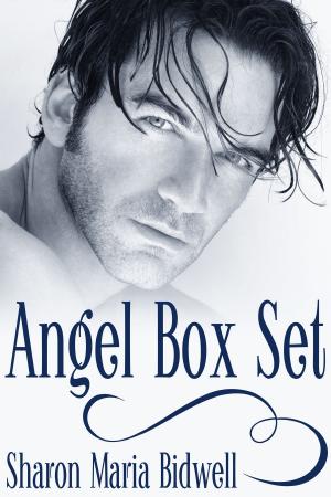 Book cover of Angel Box Set