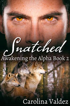 Cover of the book Snatched by Addison Albright