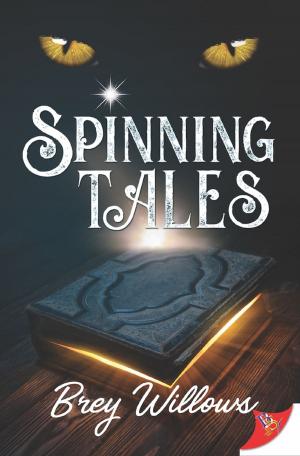 Cover of the book Spinning Tales by JLee Meyer