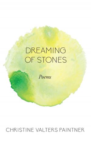 Cover of the book Dreaming of Stones by Editors of Paraclete Press