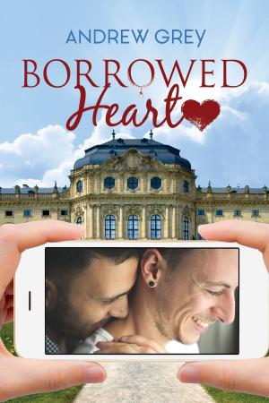 Cover of the book Borrowed Heart by Kate McMurray