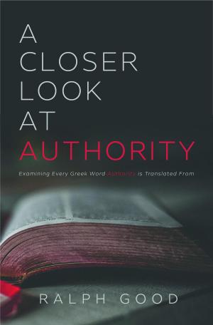 Cover of the book A Closer Look at Authority by Gina O'Brien