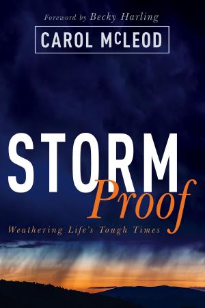 Cover of the book StormProof by Tony Peters