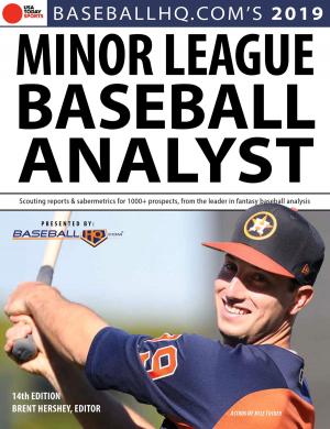 Book cover of 2019 Minor League Baseball Analyst
