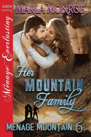 Cover of the book Her Mountain Family by Jana Downs