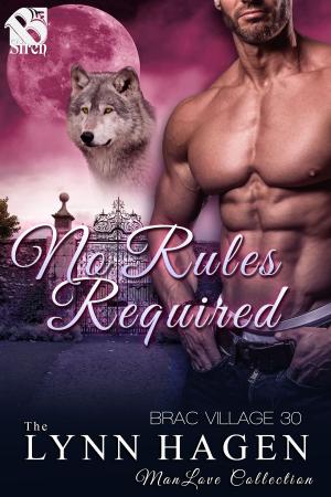 Cover of the book No Rules Required by Scarlet Hyacinth