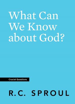 Cover of the book What Can We Know about God? by R.C. Sproul Jr.