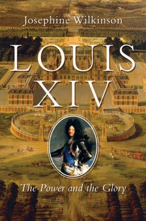 Cover of the book Louis XIV: The Power and the Glory by Julie McElwain