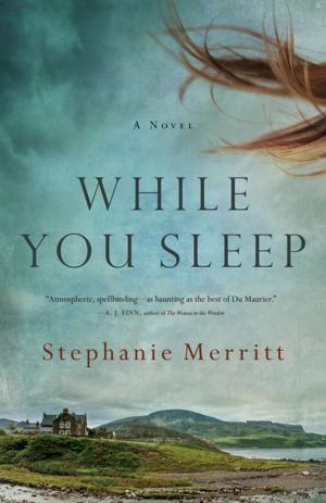 Cover of the book While You Sleep: A Novel by Charlotte Link