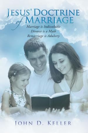 Cover of the book Jesus' Doctrine of Marriage by David Raudman