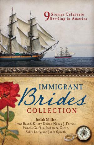 Cover of the book The Immigrant Brides Collection by Leah Slawson