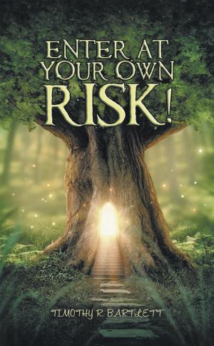 Cover of the book Enter At Your Risk! by solospaceman