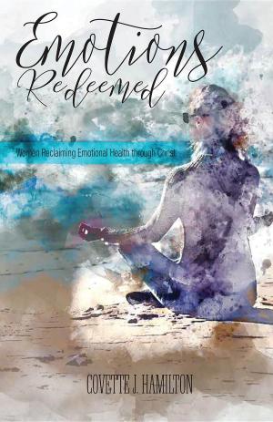 Cover of the book Emotions Redeemed by solospaceman